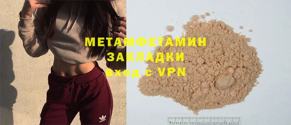 индика Медвежьегорск