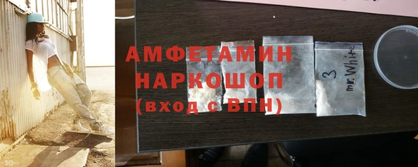 индика Медвежьегорск