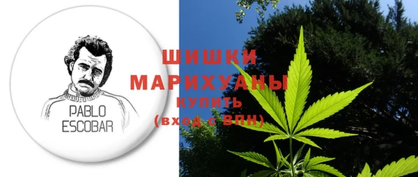индика Медвежьегорск