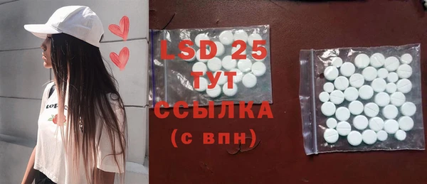 индика Медвежьегорск