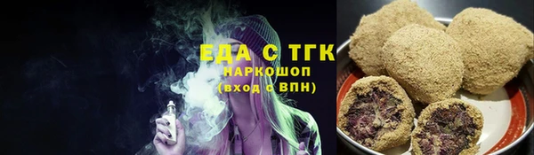 индика Медвежьегорск