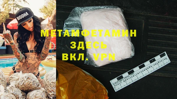 индика Медвежьегорск