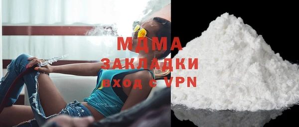 индика Медвежьегорск