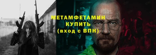 индика Медвежьегорск