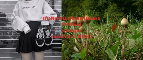 эйфоретик Мегион