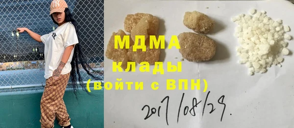 индика Медвежьегорск