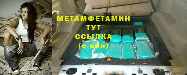 индика Медвежьегорск