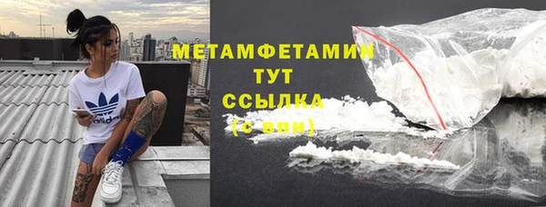 индика Медвежьегорск