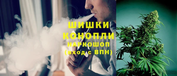 индика Медвежьегорск