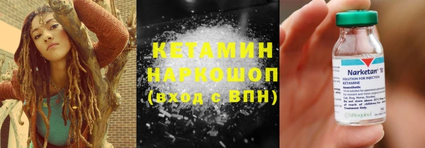 индика Медвежьегорск