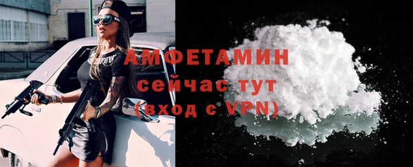 индика Медвежьегорск