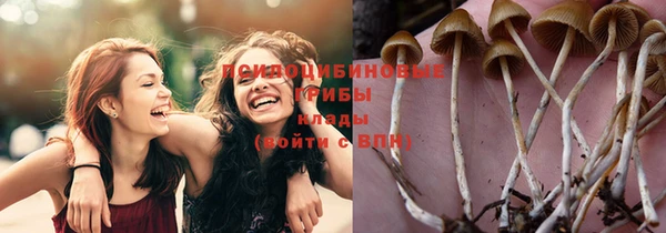 индика Медвежьегорск